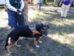 Deer Prairie Event-21