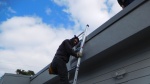 Steve heading to the roof