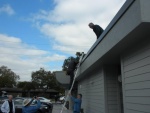 Steve's attempt at the roof, lots of helpers.