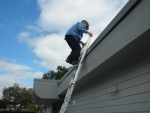 Den summiting to the roof........